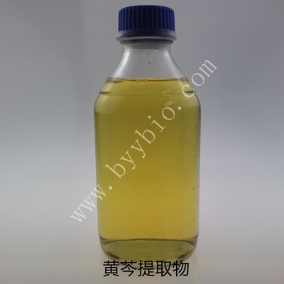 黄芩提取物 Baicalin Extract