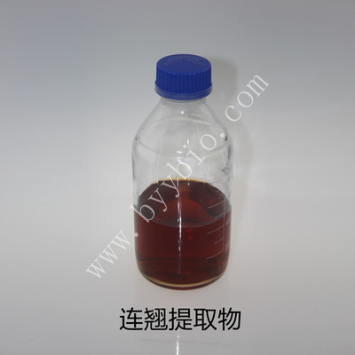 连翘提取物 Forsythia Extract