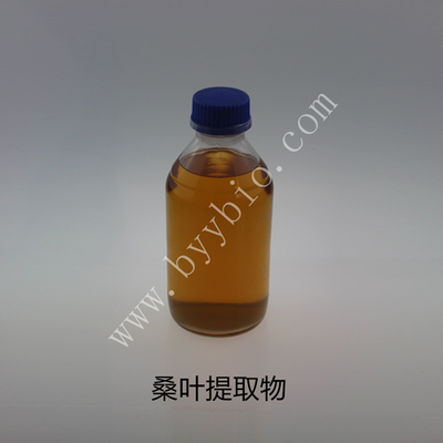 桑叶提取物Mulberry leaf extract