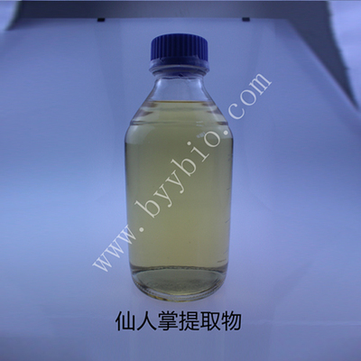 仙人掌提取物Cactus Extract