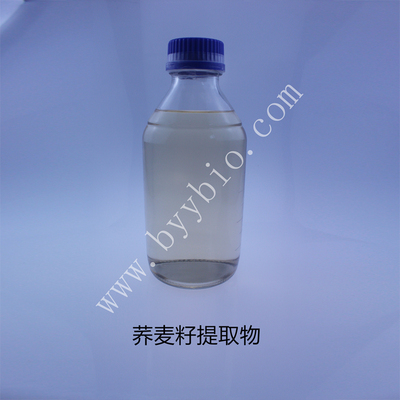 荞麦籽提取物Buckwheat seed extract