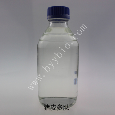 猪皮多肽 Pig skin peptide solution