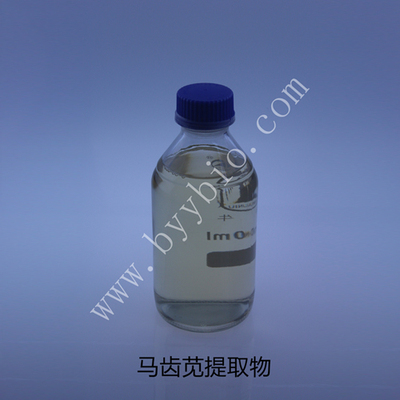 马齿苋提取物Amaranthus Extract